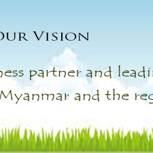 vision4